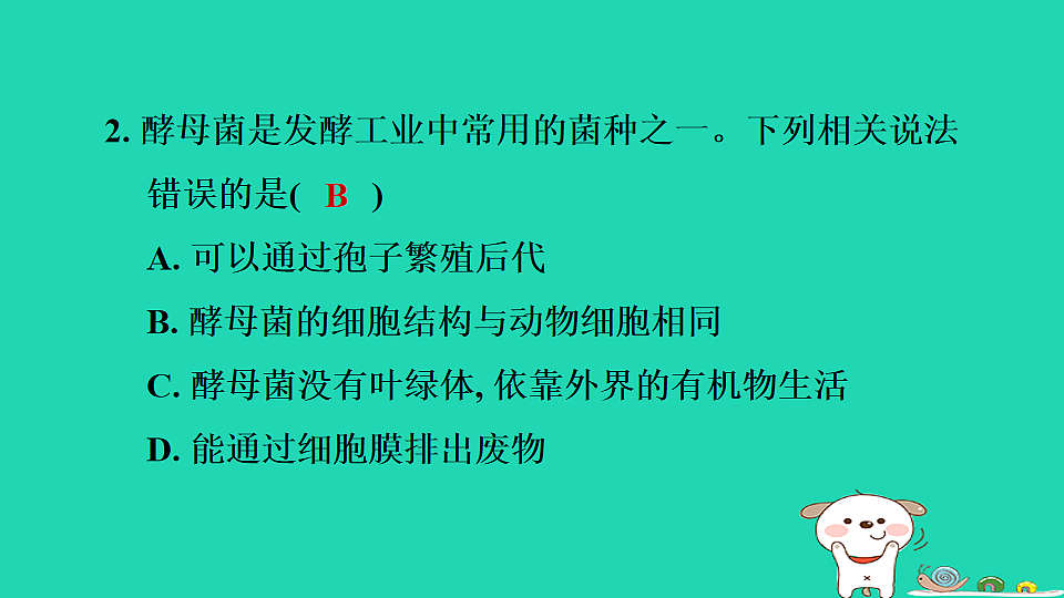 2025七年级生物上册第二单元生物的多样性第二章微生物第三节真菌习题课件冀少版（含答案）第4页
