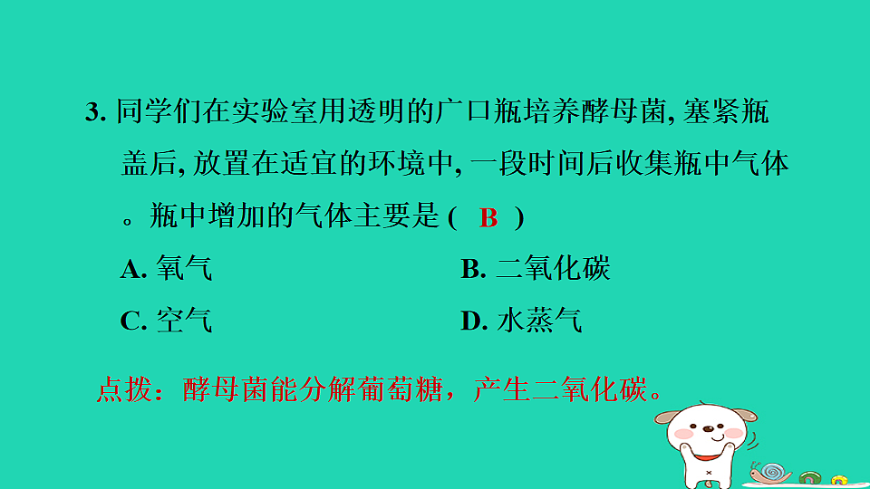 2025七年级生物上册第二单元生物的多样性第二章微生物第三节真菌习题课件冀少版（含答案）第5页