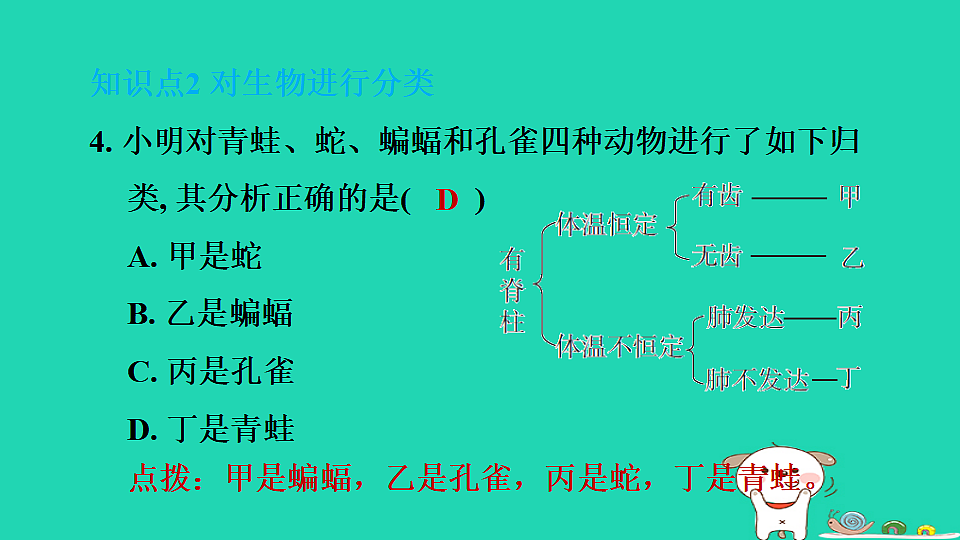 2025七年级生物上册第二单元生物的多样性第三章生物的分类和鉴别第一节生物的分类习题课件冀少版（含答案）第6页