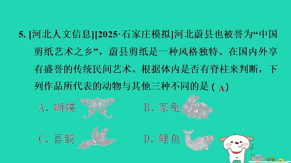 2025七年级生物上册第二单元生物的多样性第三章生物的分类和鉴别第一节生物的分类习题课件冀少版（含答案）第7页