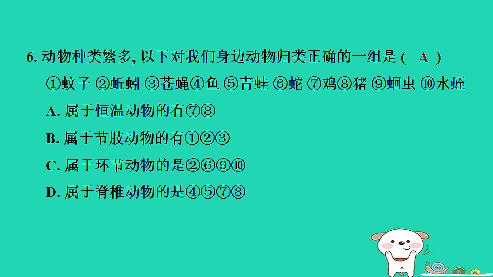 2025七年级生物上册第二单元生物的多样性第三章生物的分类和鉴别第一节生物的分类习题课件冀少版（含答案）第8页