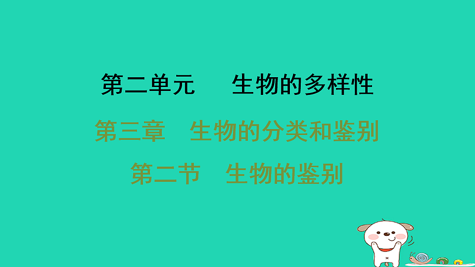 2025七年级生物上册第二单元生物的多样性第三章生物的分类和鉴别第二节生物的鉴别习题课件冀少版（含答案）第1页