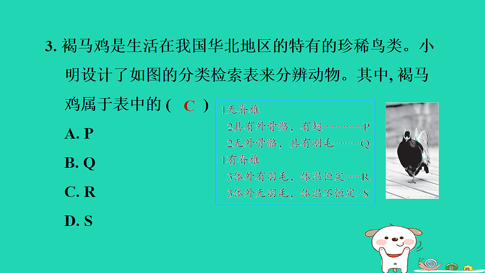 2025七年级生物上册第二单元生物的多样性第三章生物的分类和鉴别第二节生物的鉴别习题课件冀少版（含答案）第5页