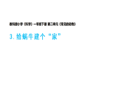 2026年教科版一年级科学下册 2-3《给蜗牛建个“家”》课件
