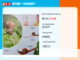 2026年教科版一年级科学下册 2-3《给蜗牛建个“家”》课件