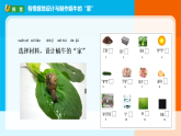 2026年教科版一年级科学下册 2-3《给蜗牛建个“家”》课件