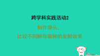 冀少版（2024）七年级上册（2024）微生物习题ppt课件