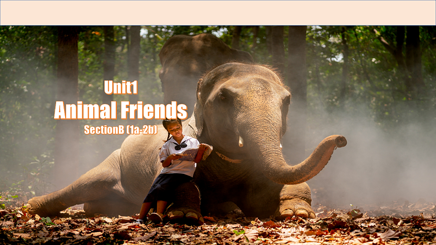 Unit 1 课时4 Section B（1a-2b) （课件）-2025-2026学年七年级英语下册（人教版2024）第1页