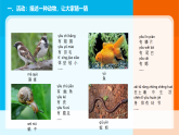 2026年教科版一年级科学下册  第二单元《常见的动物》单元小结课件
