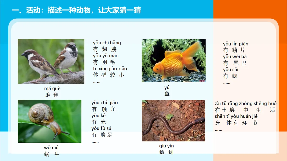 2026年教科版一年级科学下册 第二单元《常见的动物》单元小结课件第2页