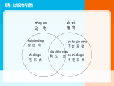 2026年教科版一年级科学下册  第二单元《常见的动物》单元小结课件