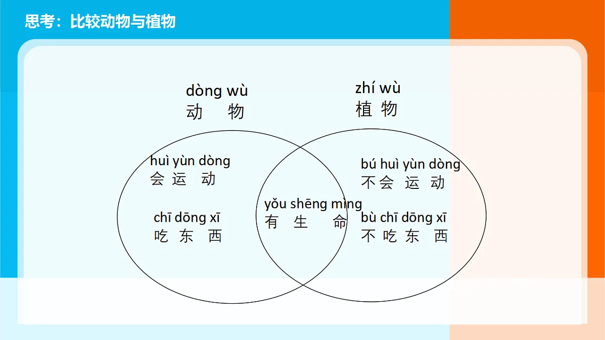 2026年教科版一年级科学下册 第二单元《常见的动物》单元小结课件第4页