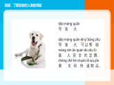 2026年教科版一年级科学下册  第二单元《常见的动物》单元小结课件