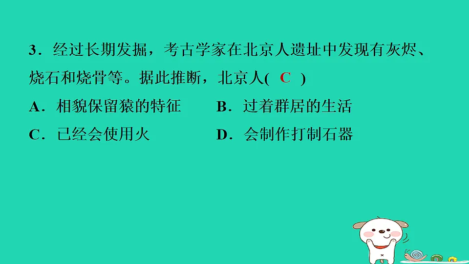 2025七年级历史上册第一单元史前时期原始社会与中华文明的起源第一课远古时期的人类活动习题课件新人教版（含答案）第5页
