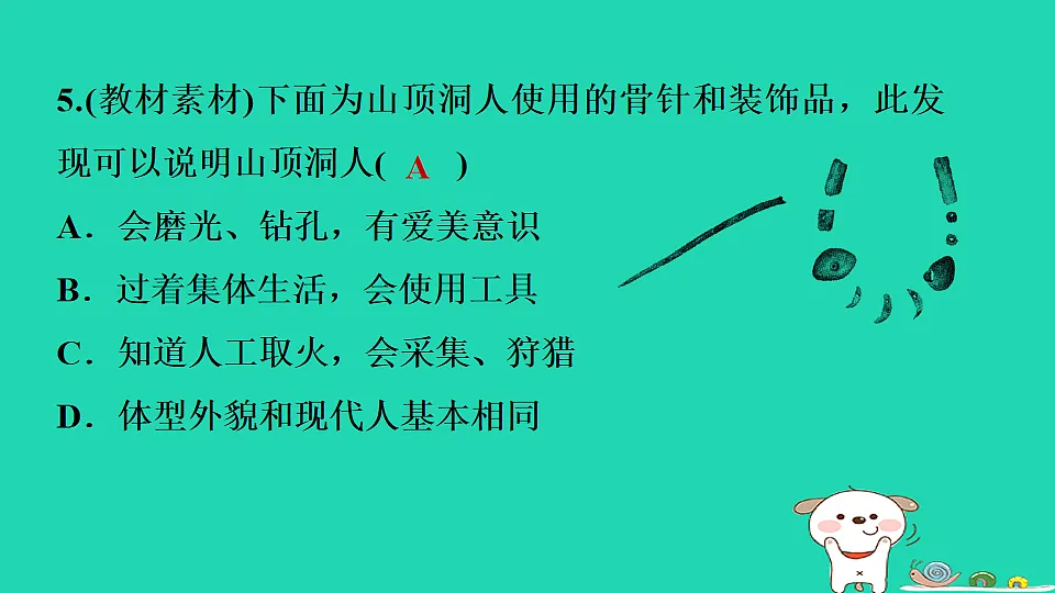 2025七年级历史上册第一单元史前时期原始社会与中华文明的起源第一课远古时期的人类活动习题课件新人教版（含答案）第7页