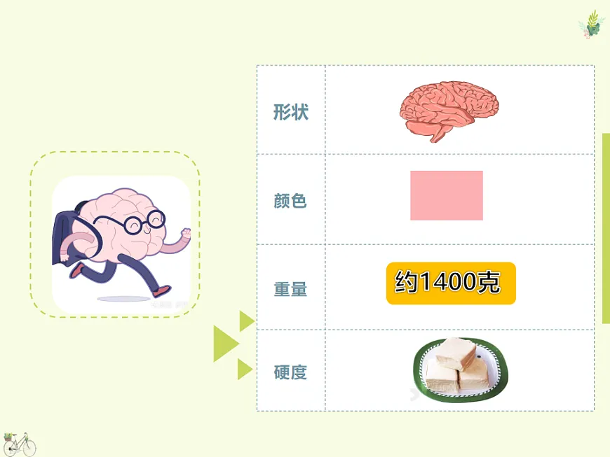 第七课 我的最强大脑——大脑想告诉你的事儿　课件 北师大版（2015）初中心理健康七年级全一册第6页