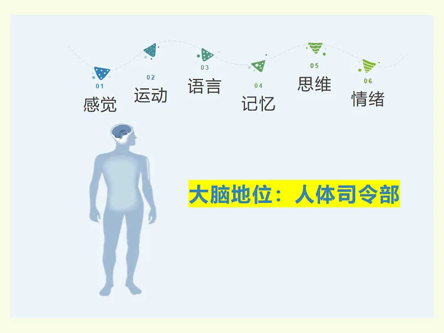 第七课 我的最强大脑——大脑想告诉你的事儿　课件 北师大版（2015）初中心理健康七年级全一册第7页