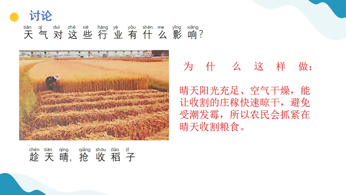 2、天气的影响 小学科学 苏教版（2024） 二年级下册 课件第5页