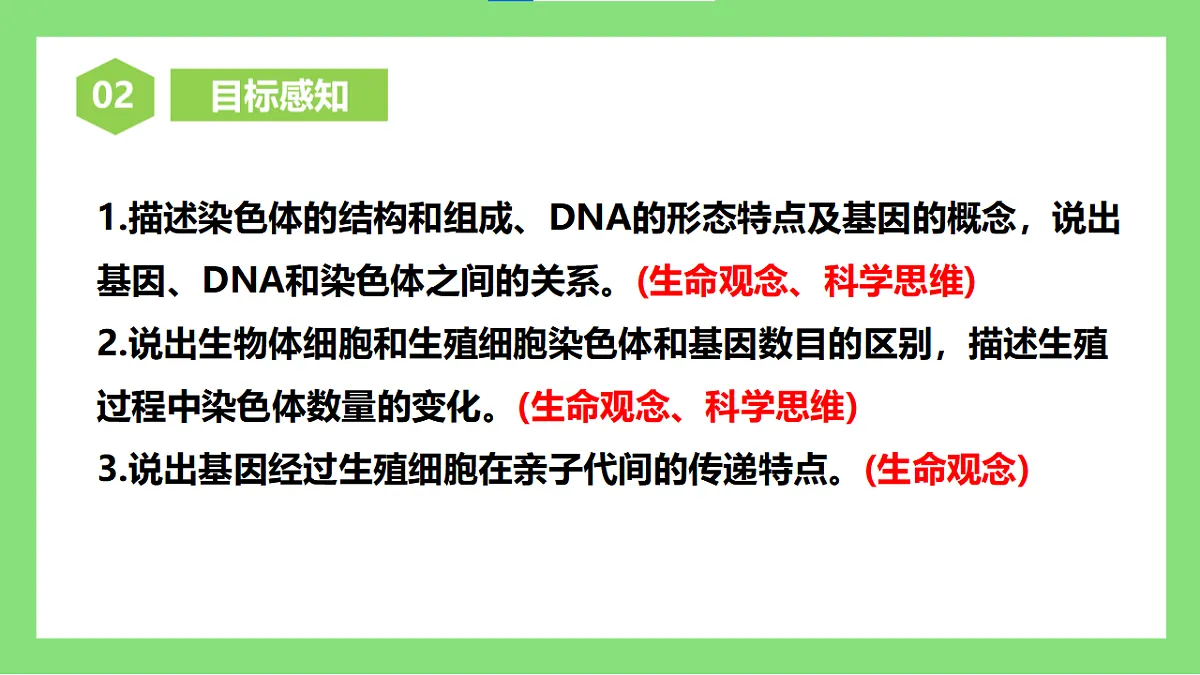 【核心素养目标】人教版初中生物八年级下册6.2.2《基因在亲子代间的传递》课件第4页
