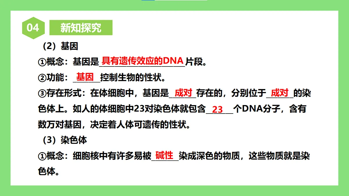 【核心素养目标】人教版初中生物八年级下册6.2.2《基因在亲子代间的传递》课件第7页