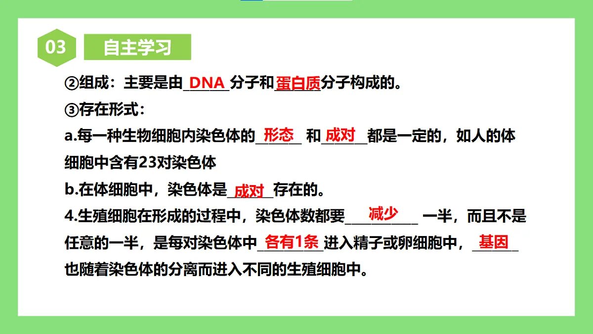 【核心素养目标】人教版初中生物八年级下册6.2.2《基因在亲子代间的传递》课件第8页