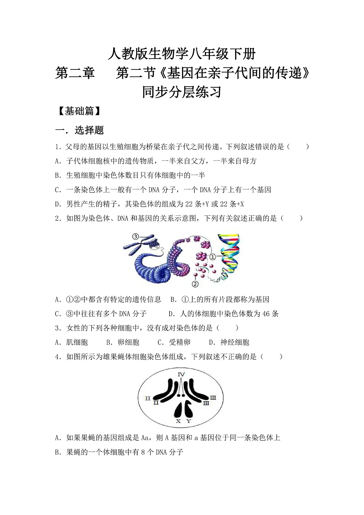 人教版初中生物八年级下6.2.2《基因在亲子代间的传递》同步分层练习（含答案）第1页