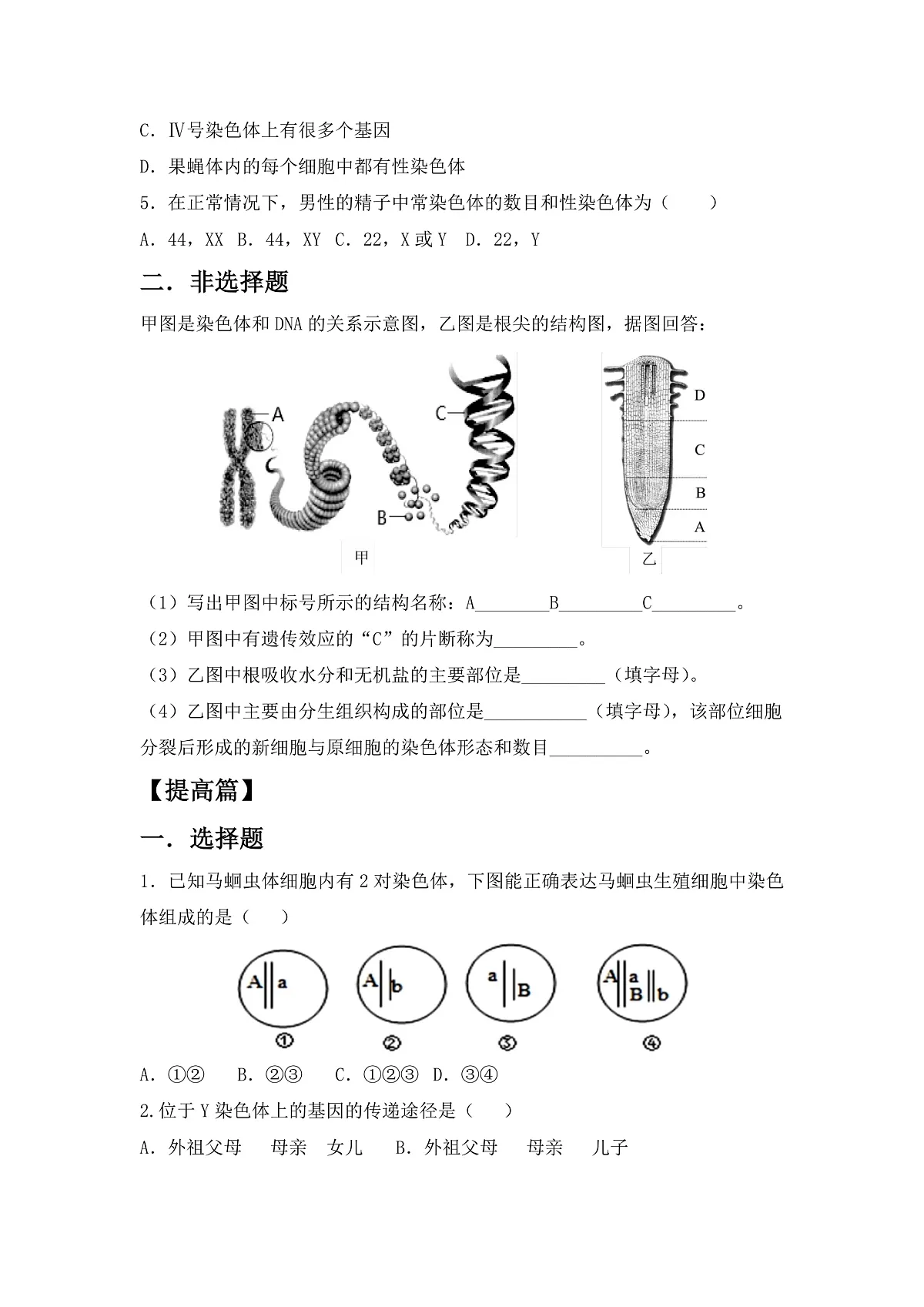 人教版初中生物八年级下6.2.2《基因在亲子代间的传递》同步分层练习（含答案）第3页