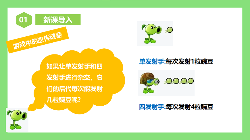 人教版初中生物八年级下册6.2.3《基因的显性和隐性》课件第3页