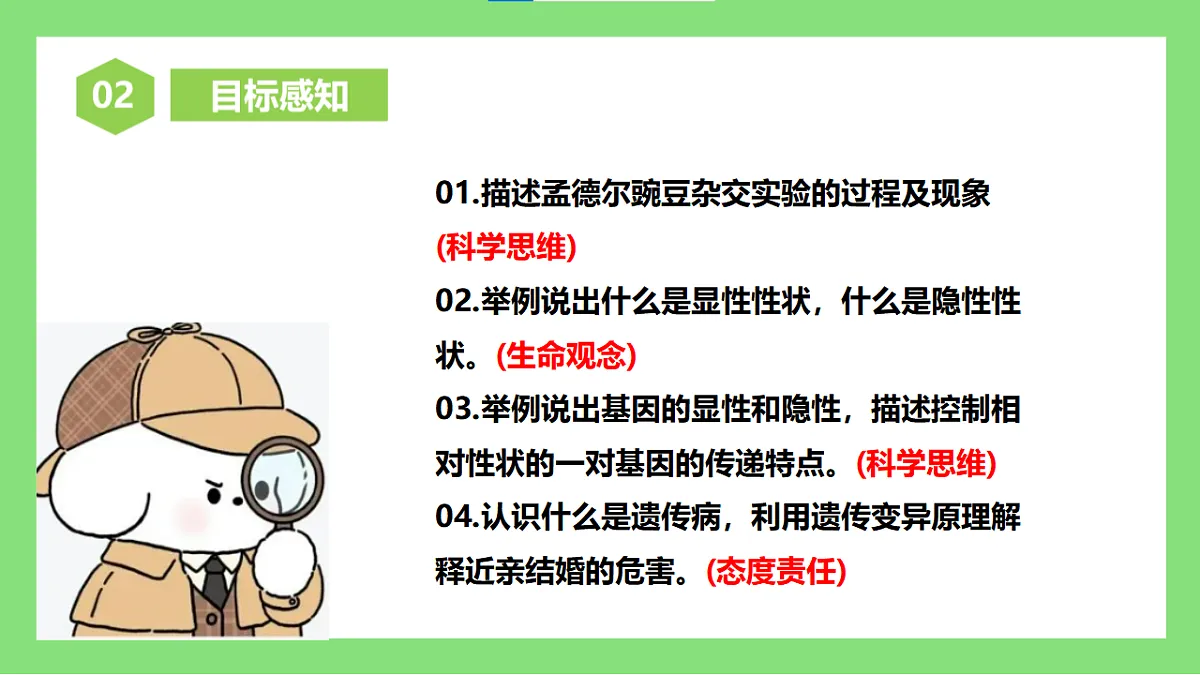 人教版初中生物八年级下册6.2.3《基因的显性和隐性》课件第5页