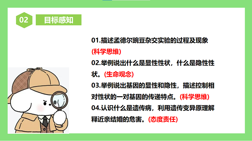 人教版初中生物八年级下册6.2.3《基因的显性和隐性》课件第5页