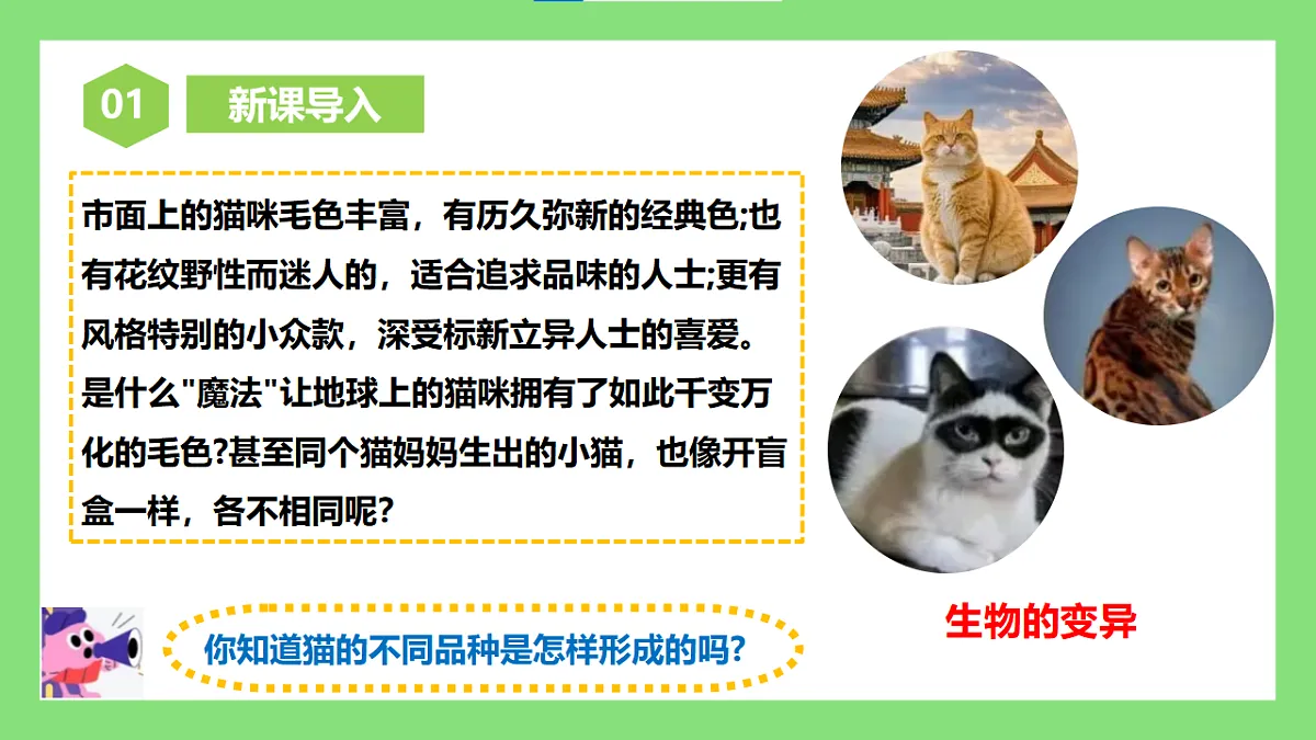 人教版初中生物八年级下册6.2.5《生物的变异》课件第2页