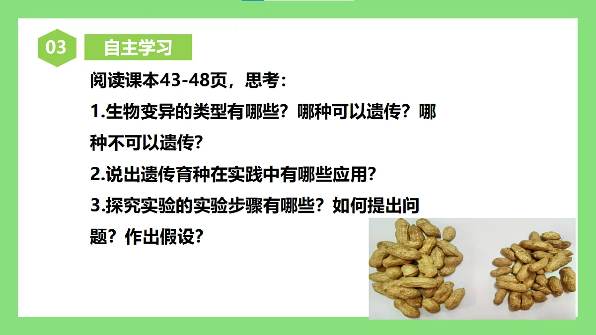 人教版初中生物八年级下册6.2.5《生物的变异》课件第4页