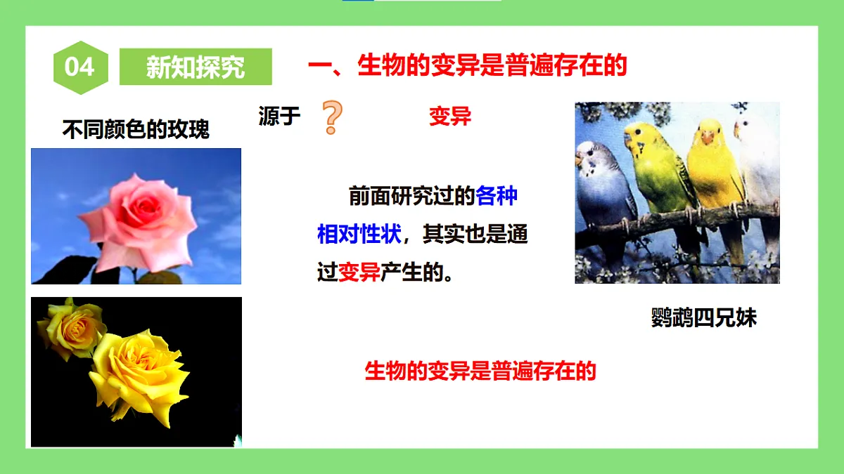 人教版初中生物八年级下册6.2.5《生物的变异》课件第5页