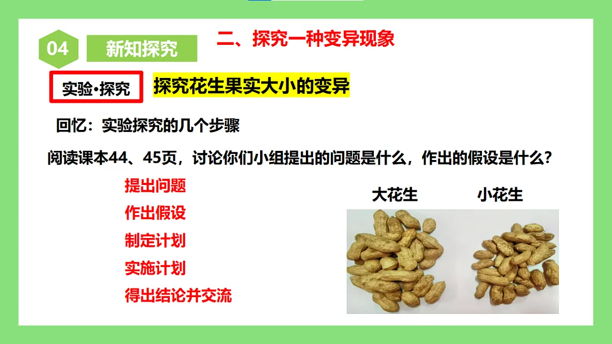 人教版初中生物八年级下册6.2.5《生物的变异》课件第6页