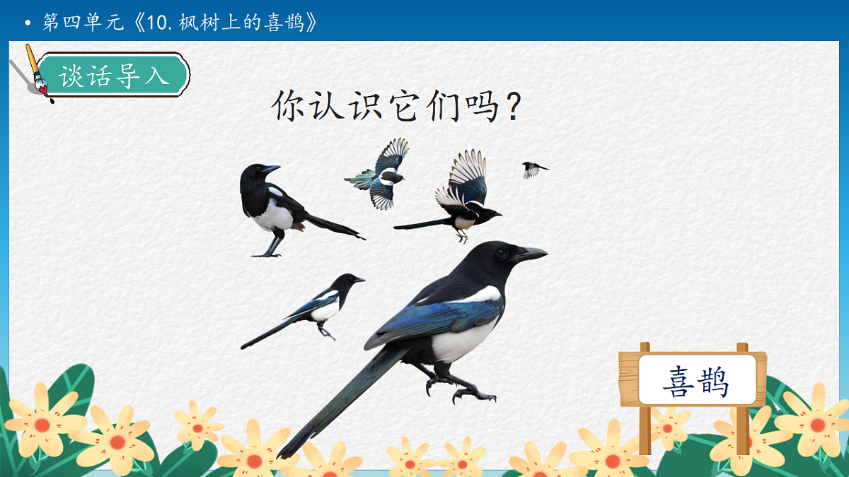 【任务型备课】统编版二年级语文下册-10. 枫树上的喜鹊 第1课时（课件）第8页