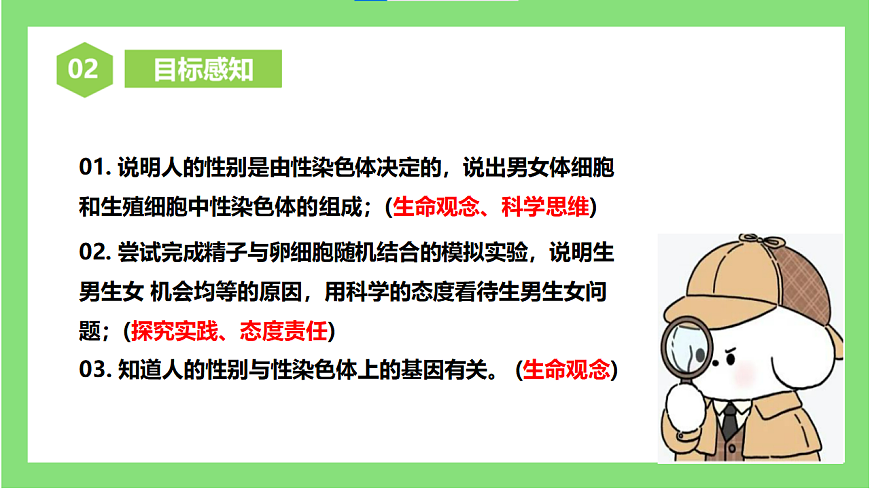 人教版初中生物八年级下册6.2.4《人的性别遗传》课件第2页