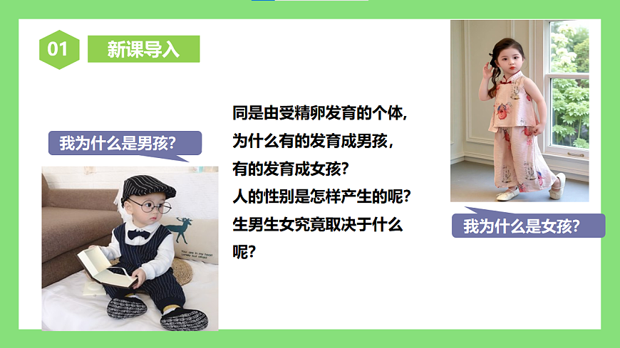 人教版初中生物八年级下册6.2.4《人的性别遗传》课件第3页