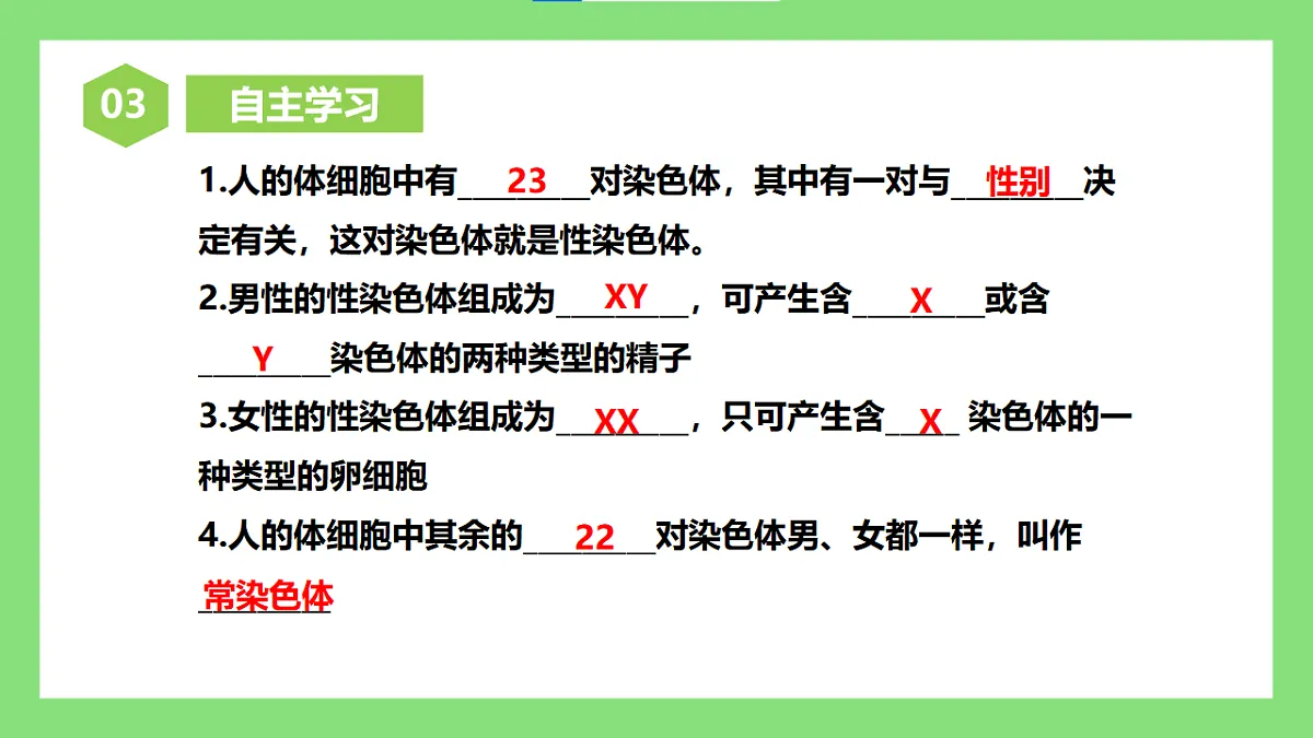 人教版初中生物八年级下册6.2.4《人的性别遗传》课件第4页