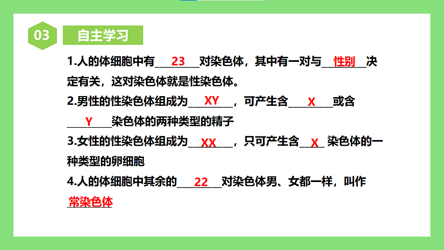 人教版初中生物八年级下册6.2.4《人的性别遗传》课件第4页