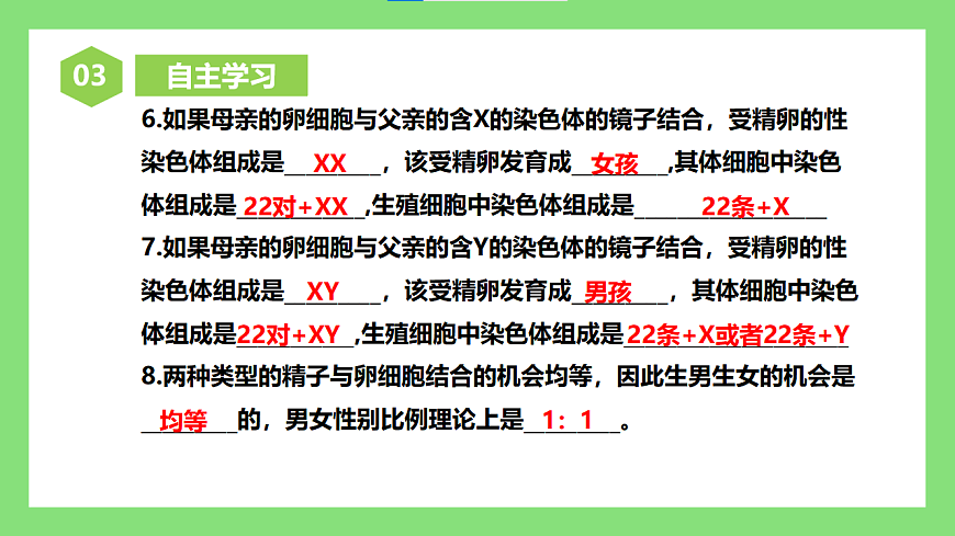 人教版初中生物八年级下册6.2.4《人的性别遗传》课件第5页