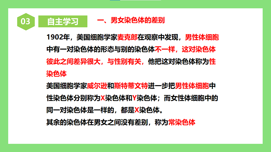 人教版初中生物八年级下册6.2.4《人的性别遗传》课件第6页