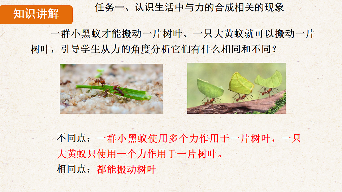 人教版八年级物理下册教学课件《8.4 同一直线上二力的合成》第7页