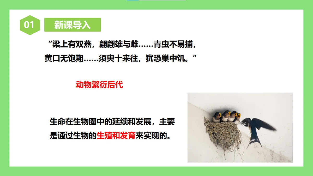 【核心素养目标】人教版初中生物八年级下册6.1.1《无性生殖》课件第3页
