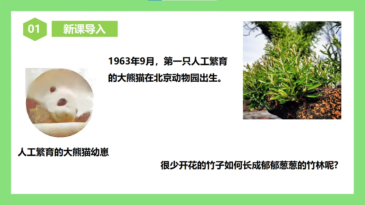 【核心素养目标】人教版初中生物八年级下册6.1.1《无性生殖》课件第4页