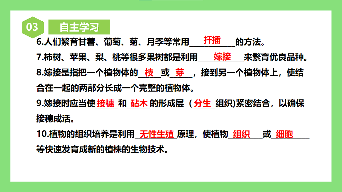 【核心素养目标】人教版初中生物八年级下册6.1.2《无性生殖》第1课时 课件第2页