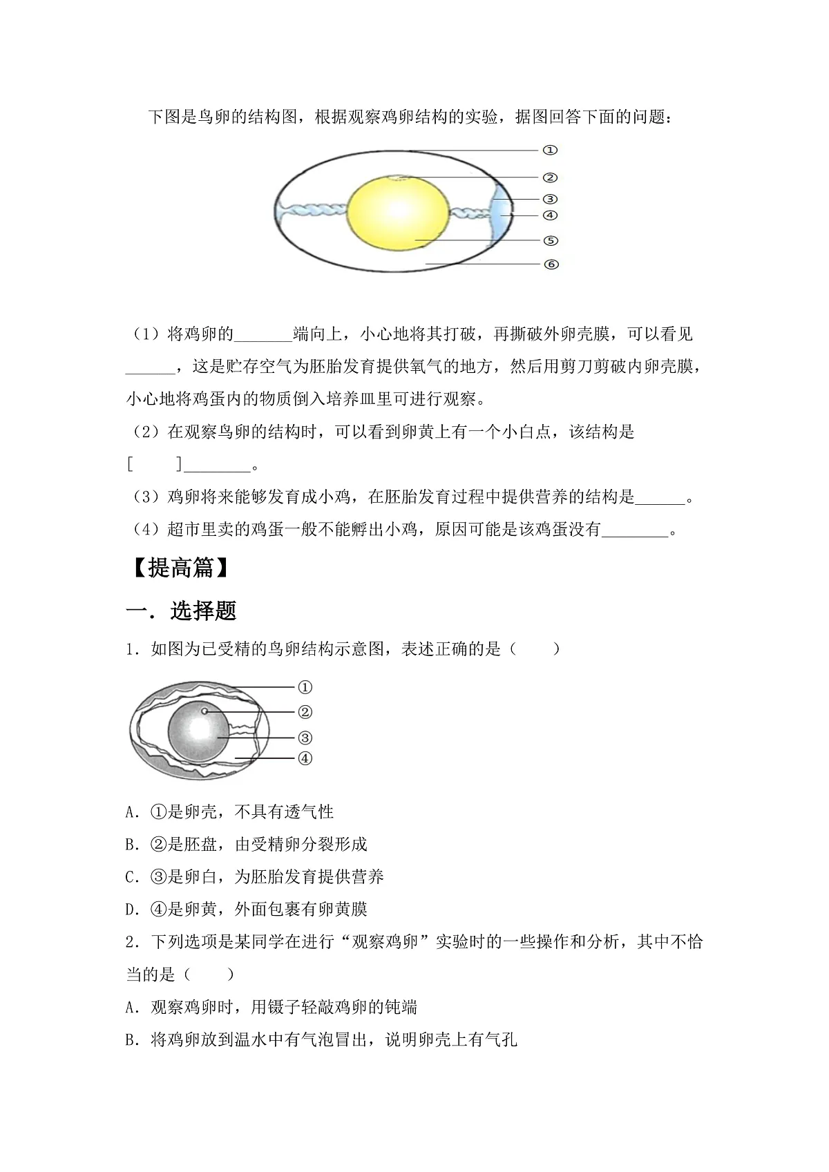 人教版初中生物八年级下册6.1.2《有性生殖》第2课时 同步分层练习（含答案）第2页