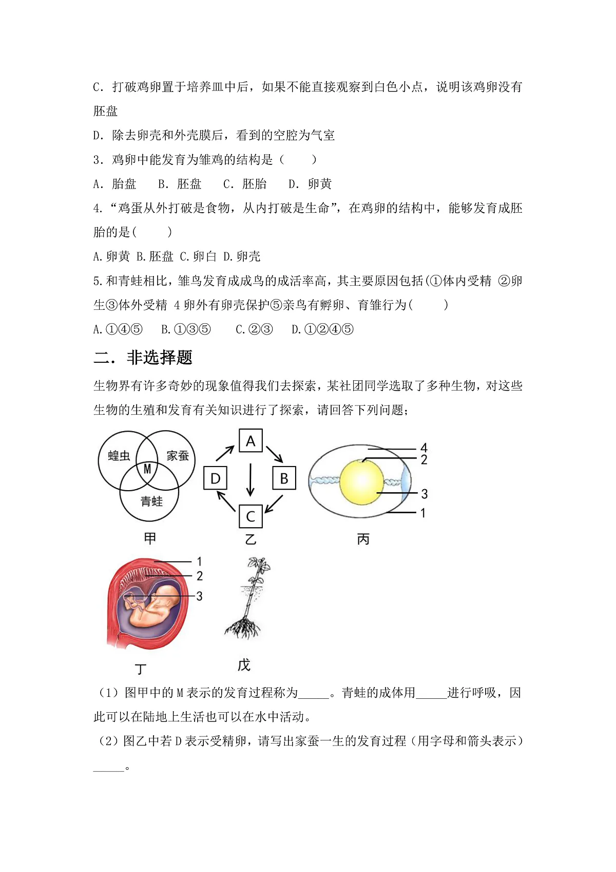 人教版初中生物八年级下册6.1.2《有性生殖》第2课时 同步分层练习（含答案）第3页