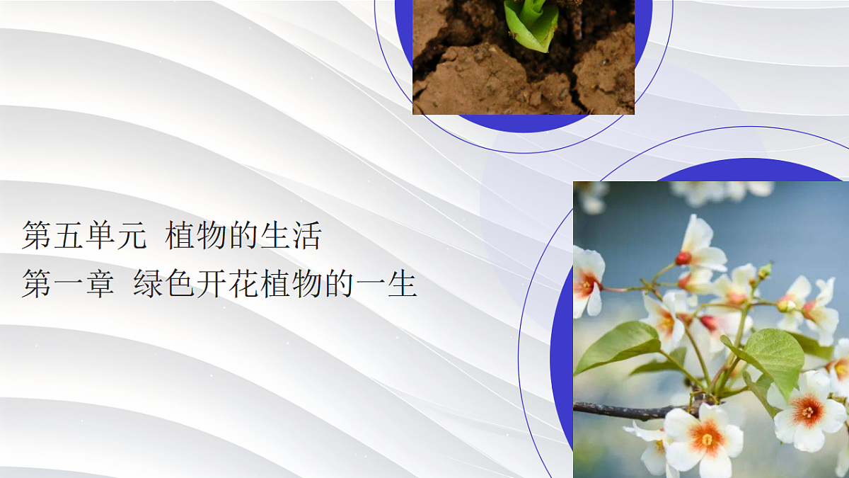 17839422第1页