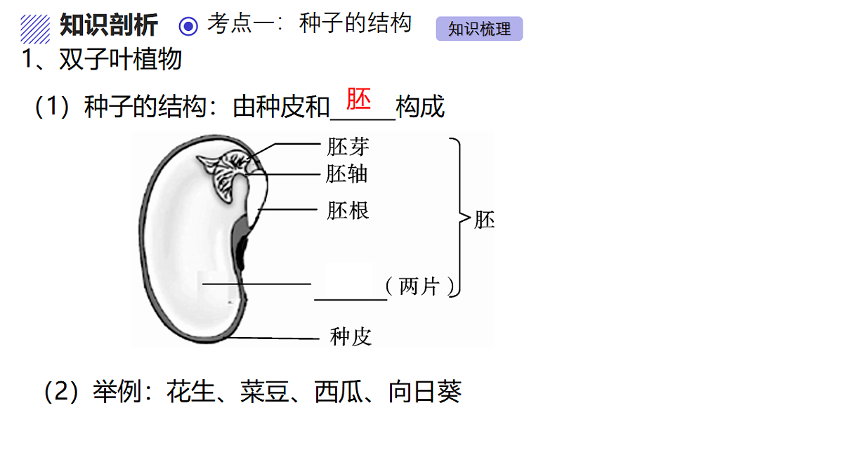 17839422第5页