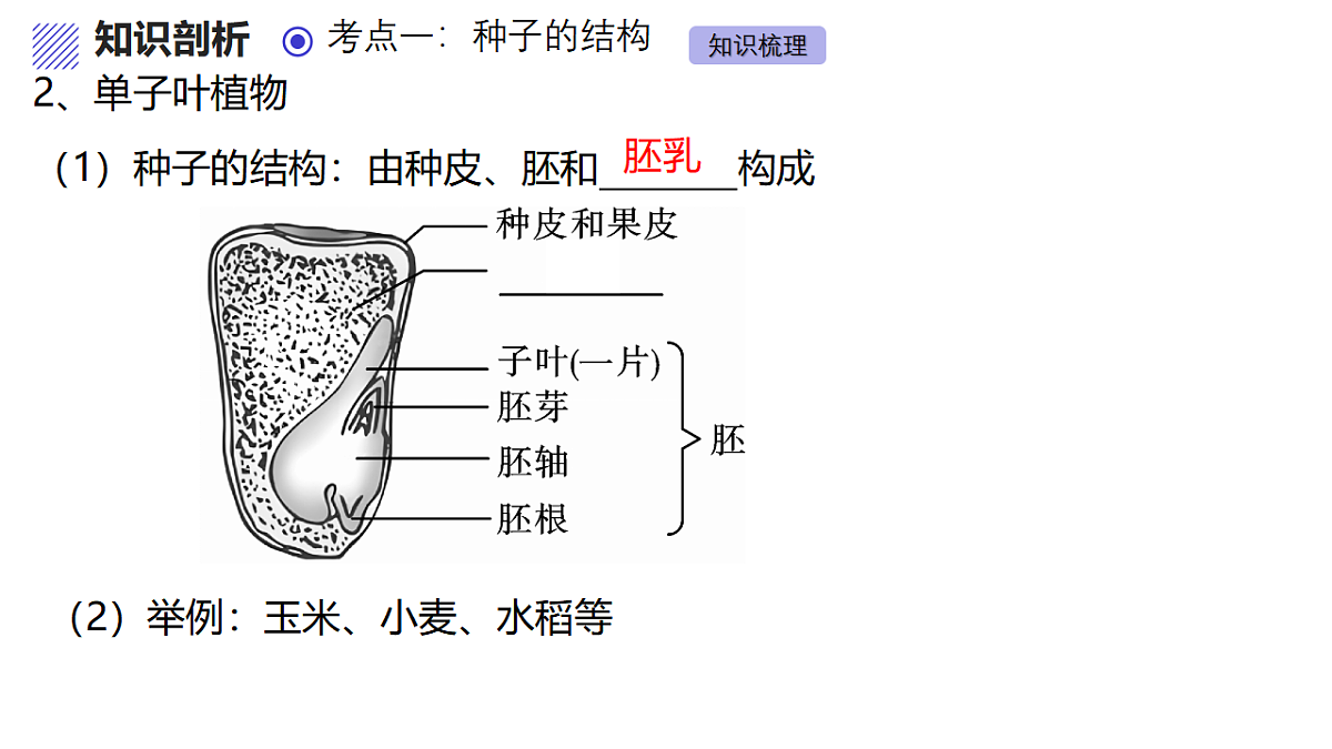 17839422第6页